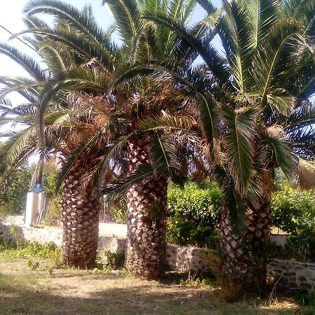 Guesthouse Karidia Skála Eresoú Exteriér fotografie