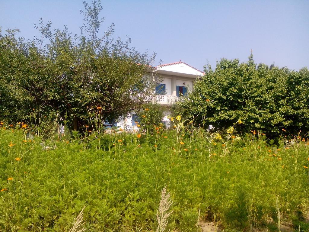 Guesthouse Karidia Skála Eresoú Exteriér fotografie