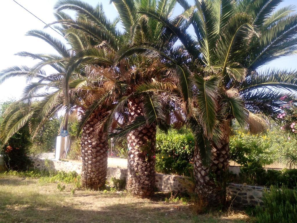 Guesthouse Karidia Skála Eresoú Exteriér fotografie