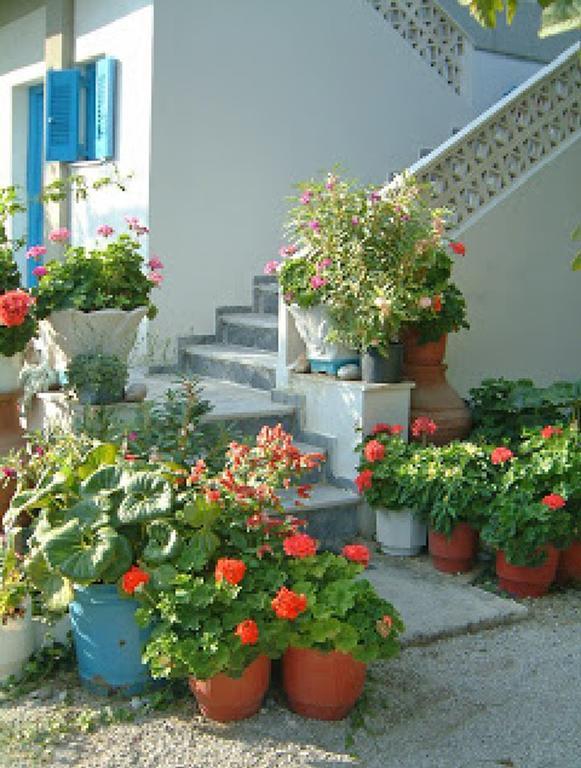Guesthouse Karidia Skála Eresoú Exteriér fotografie